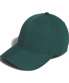 Collegiate Green
