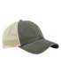 Vintage Olive/Stone