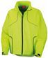 Neon Lime