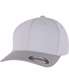 Griffin/Wolf Grey